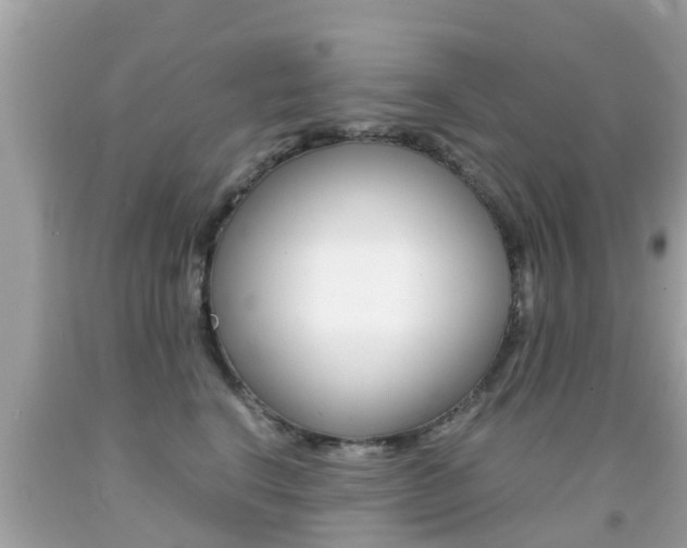 X0000091860664200709050958