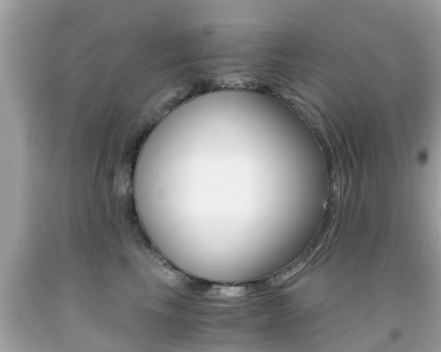 X0000091860665200709050958