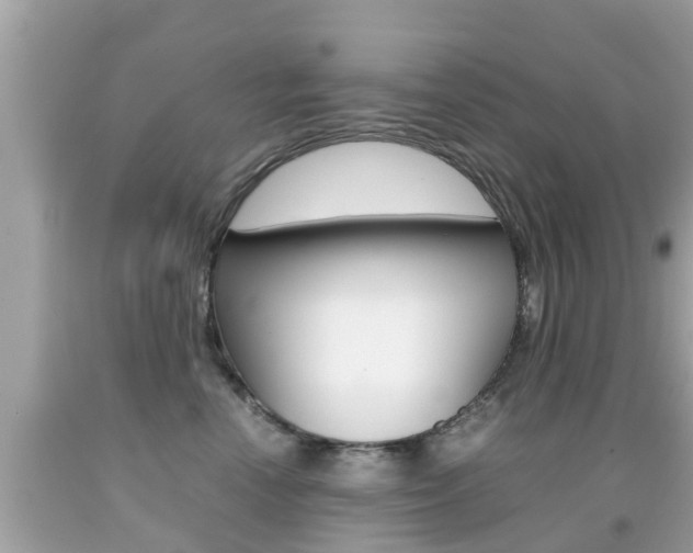 X0000091860666200709050958