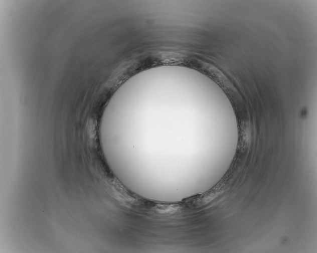 X0000091860667200709050958