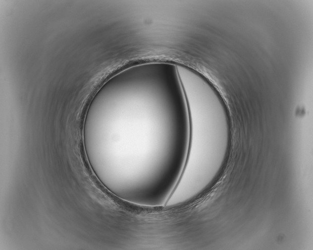 X0000091860673200709050957