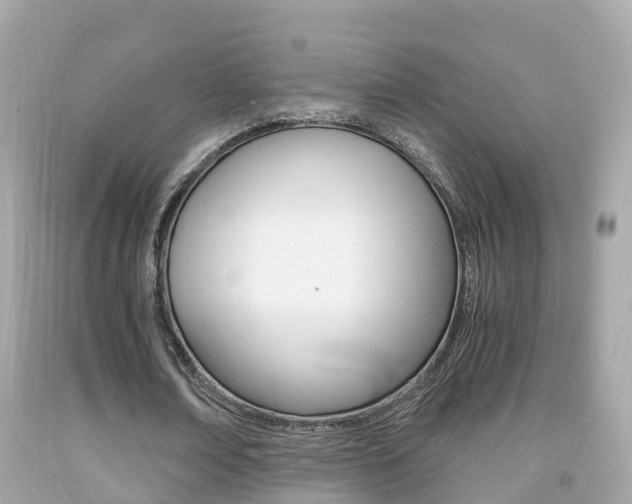 X0000091860674200709050957