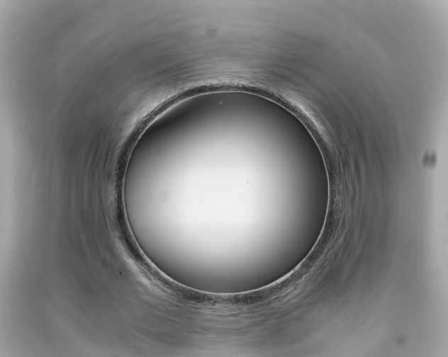 X0000091860677200709050957