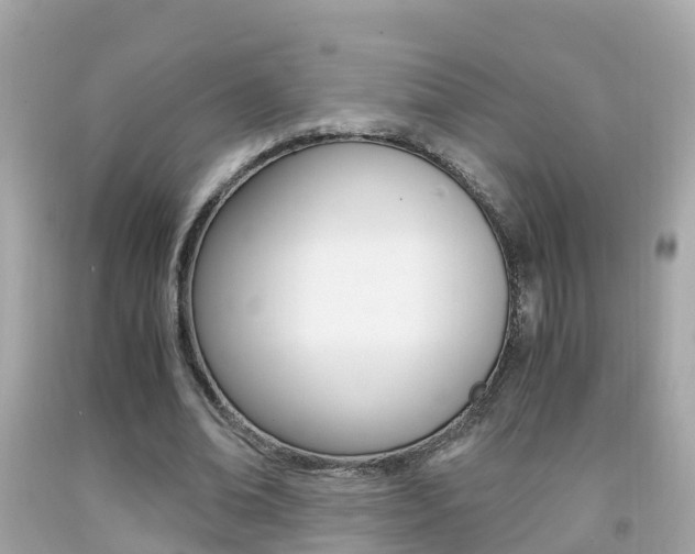 X0000091860678200709050957