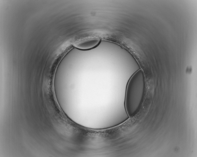 X0000091860679200709050957