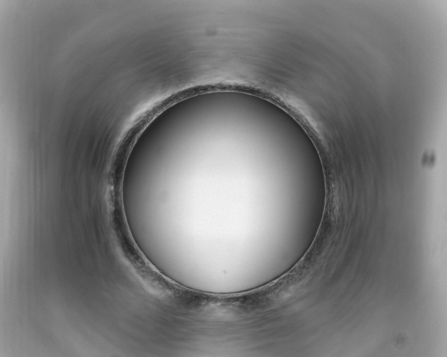 X0000091860680200709050957