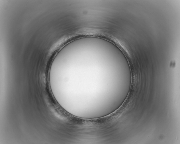 X0000091860682200709050957