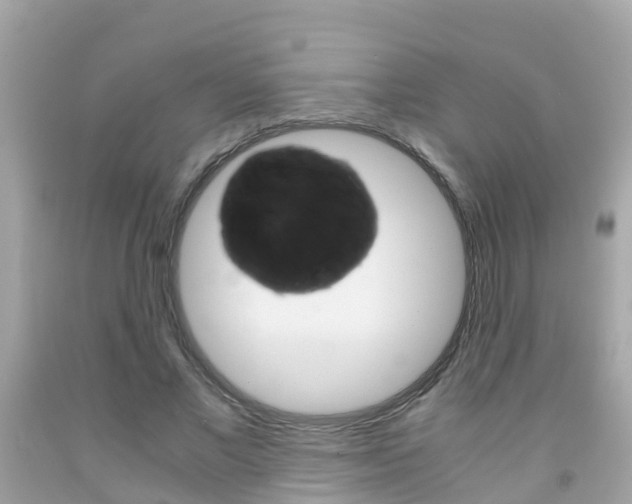 X0000091860685200709050957