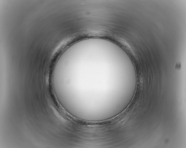 X0000091860686200709050957