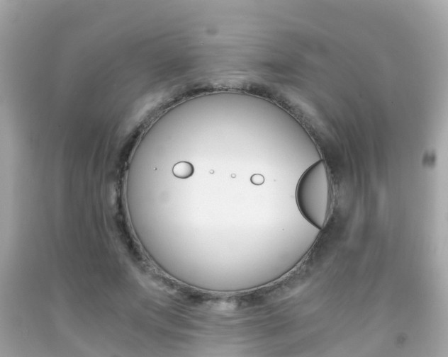 X0000091860687200709050957