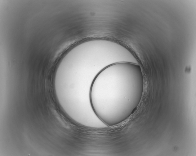 X0000091860688200709050957
