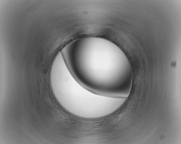 X0000091860689200709050957