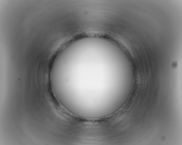 X0000091860690200709050957