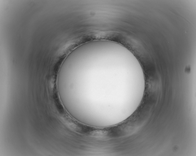 X0000091860691200709050957