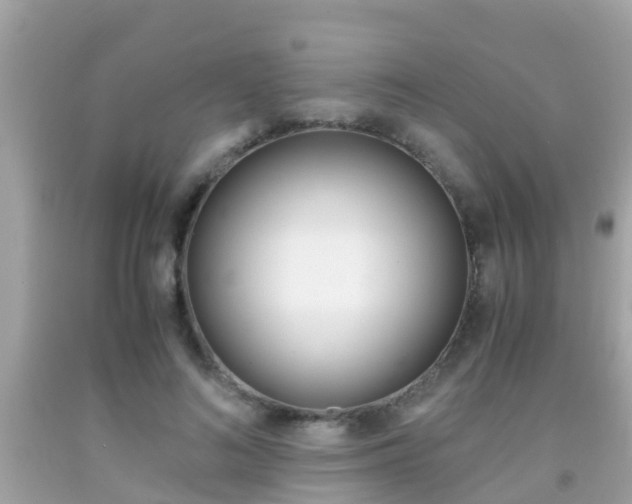 X0000091860692200709050957