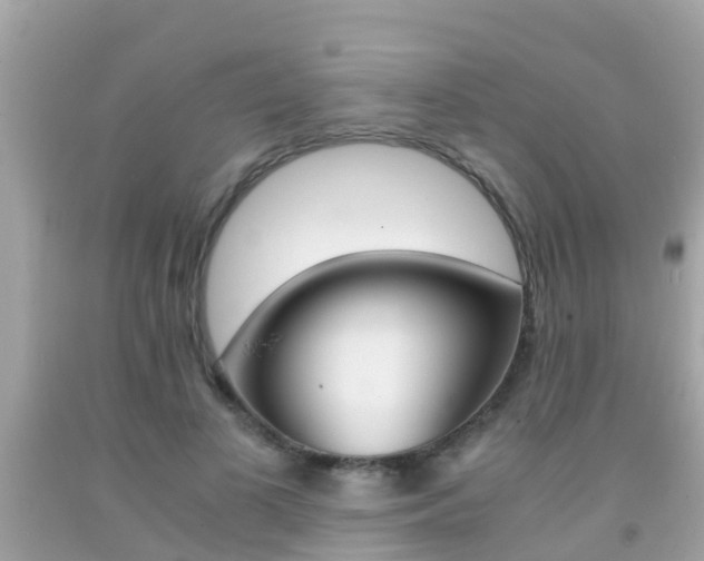 X0000091860693200709050957