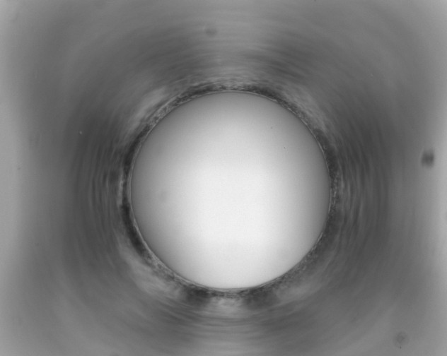 X0000091860694200709050957