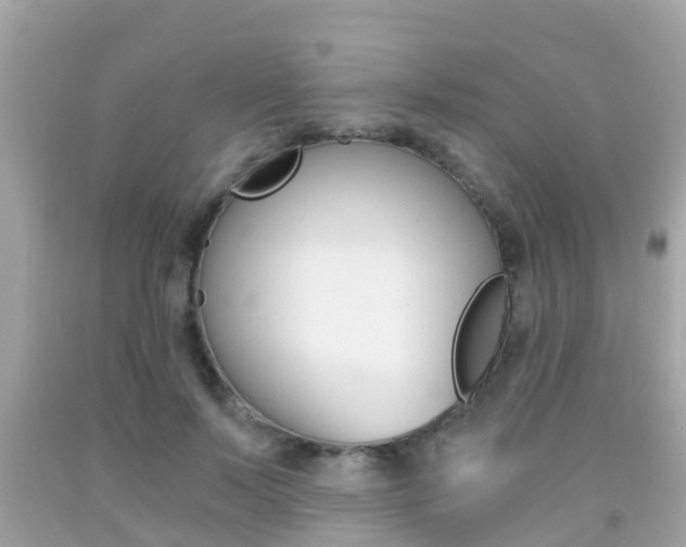 X0000091860695200709050957