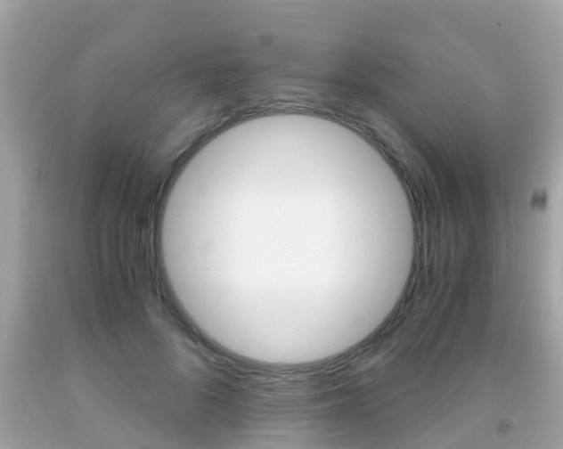 X0000091860696200709050957