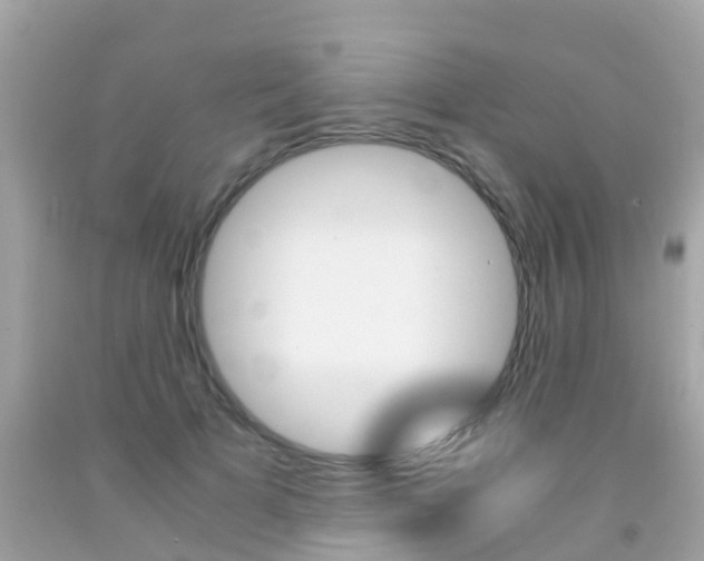 X0000091860697200709050957