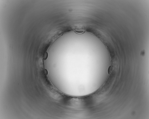 X0000091860699200709050957