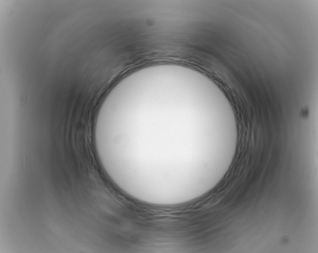 X0000091860700200709050957