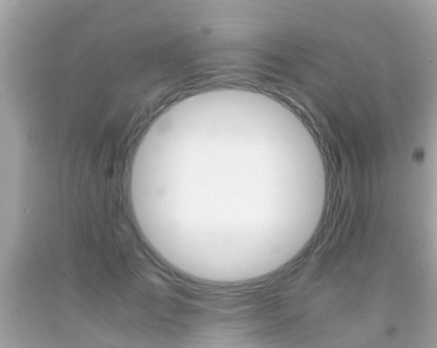 X0000091860701200709050957