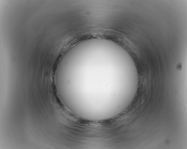 X0000091860702200709050957