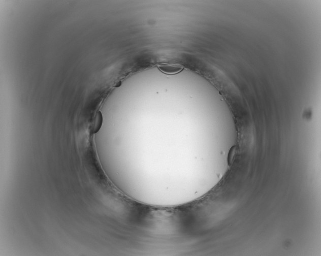X0000091860703200709050957