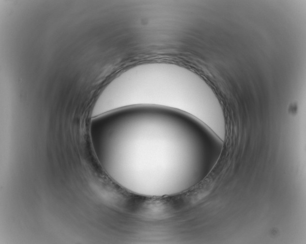 X0000091860704200709050957