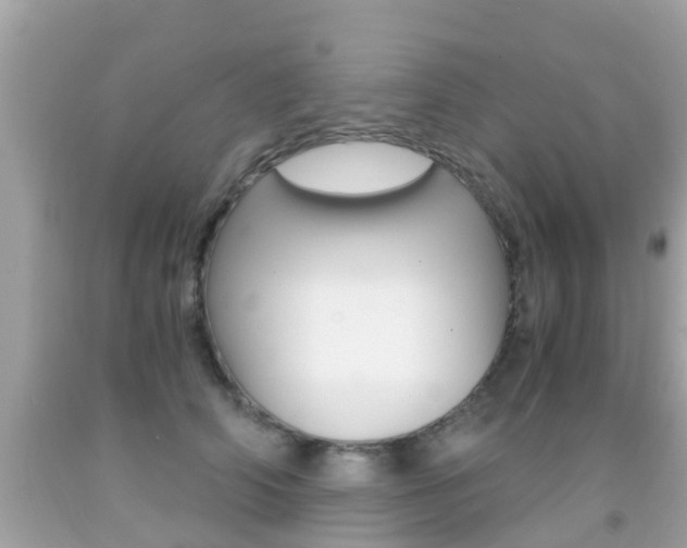 X0000091860706200709050957
