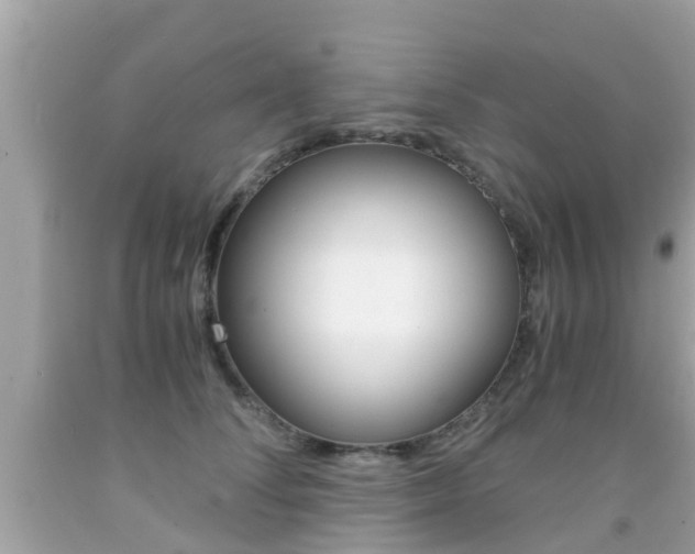 X0000091860708200709050957