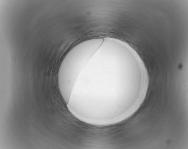 X0000091860709200709050957