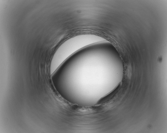 X0000091860712200709050957