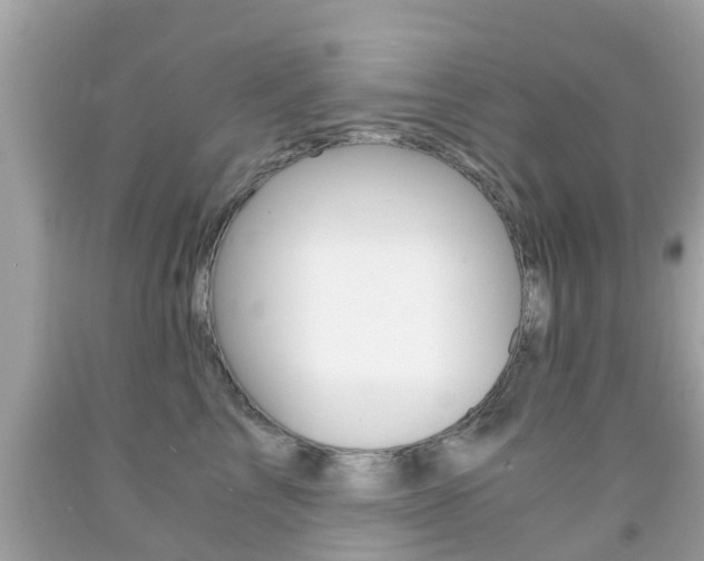 X0000091860713200709050957