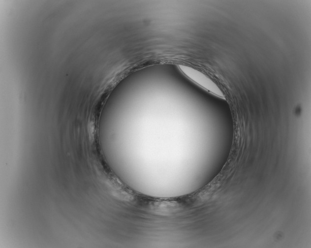 X0000091860716200709050957