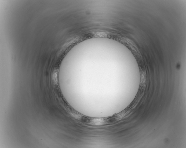 X0000091860717200709050957