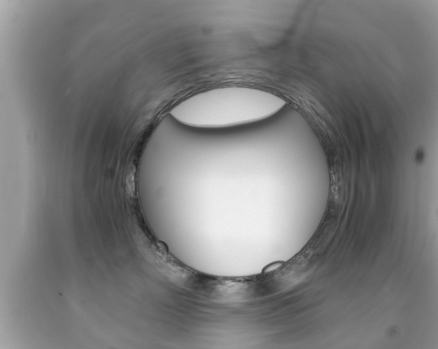 X0000091860718200709050957