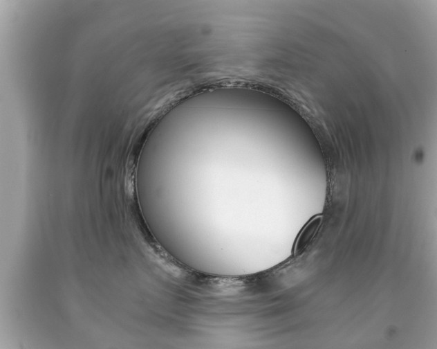 X0000091860719200709050957