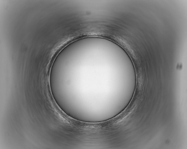 X0000091860721200709050956