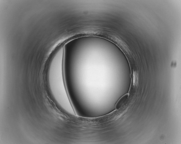 X0000091860723200709050956