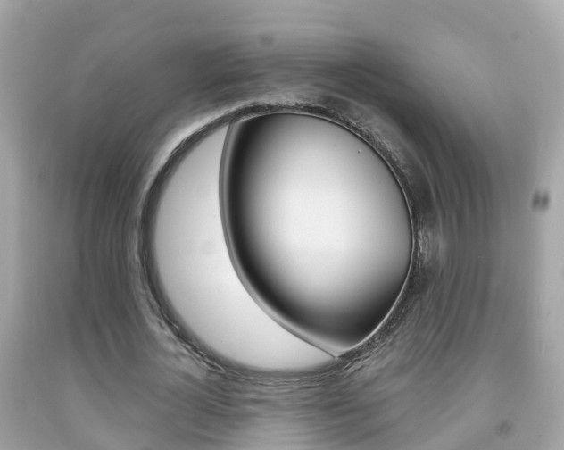 X0000091860724200709050956
