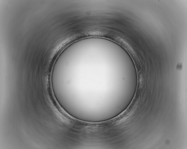 X0000091860725200709050956