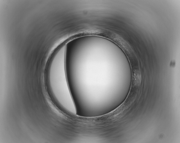 X0000091860726200709050956