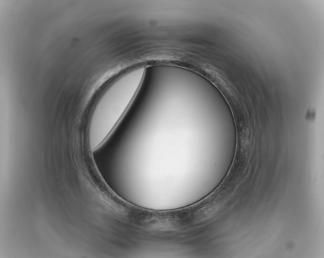 X0000091860727200709050956