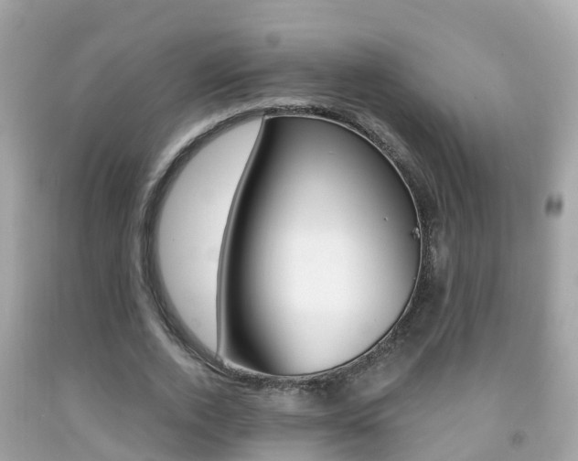 X0000091860728200709050956