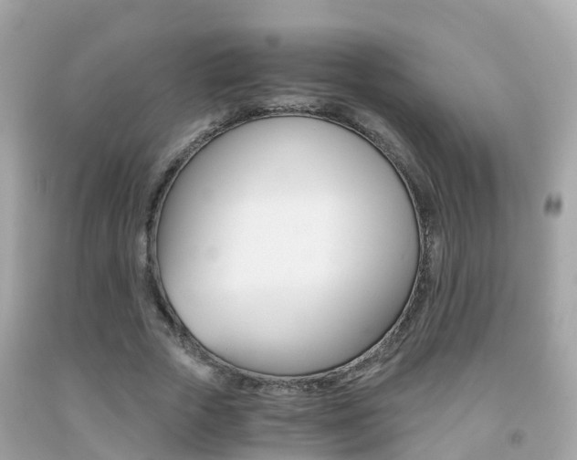 X0000091860729200709050956