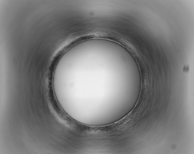 X0000091860730200709050956
