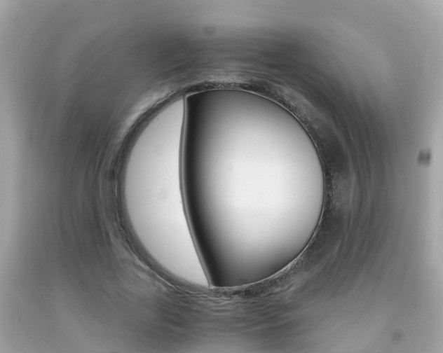X0000091860731200709050956