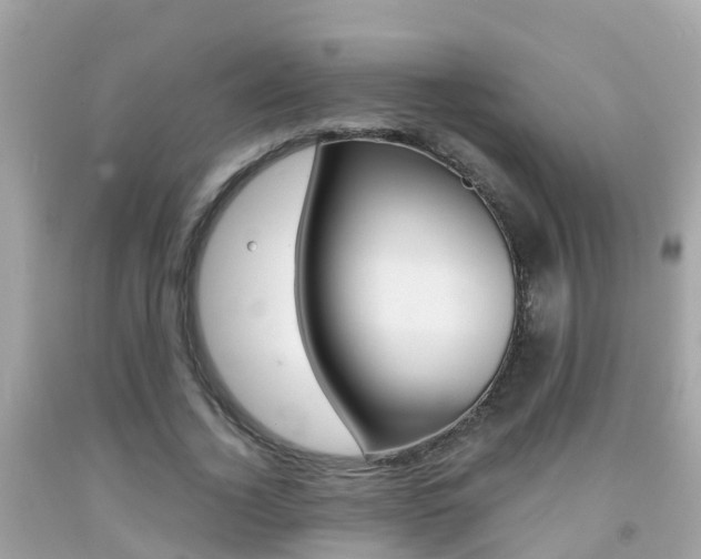 X0000091860732200709050956
